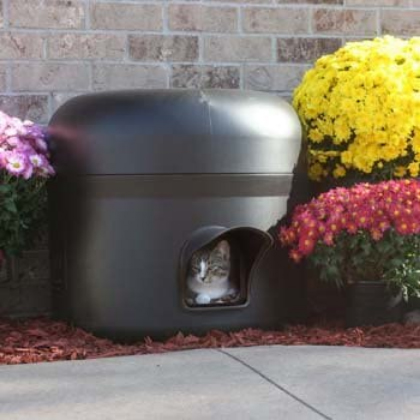 sylvia-says-amazon-feral-shelter-2