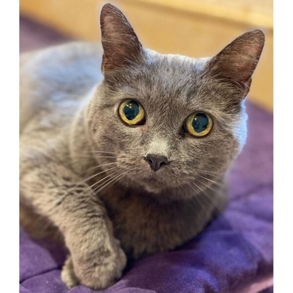 beth-blog-jan2021-estelle