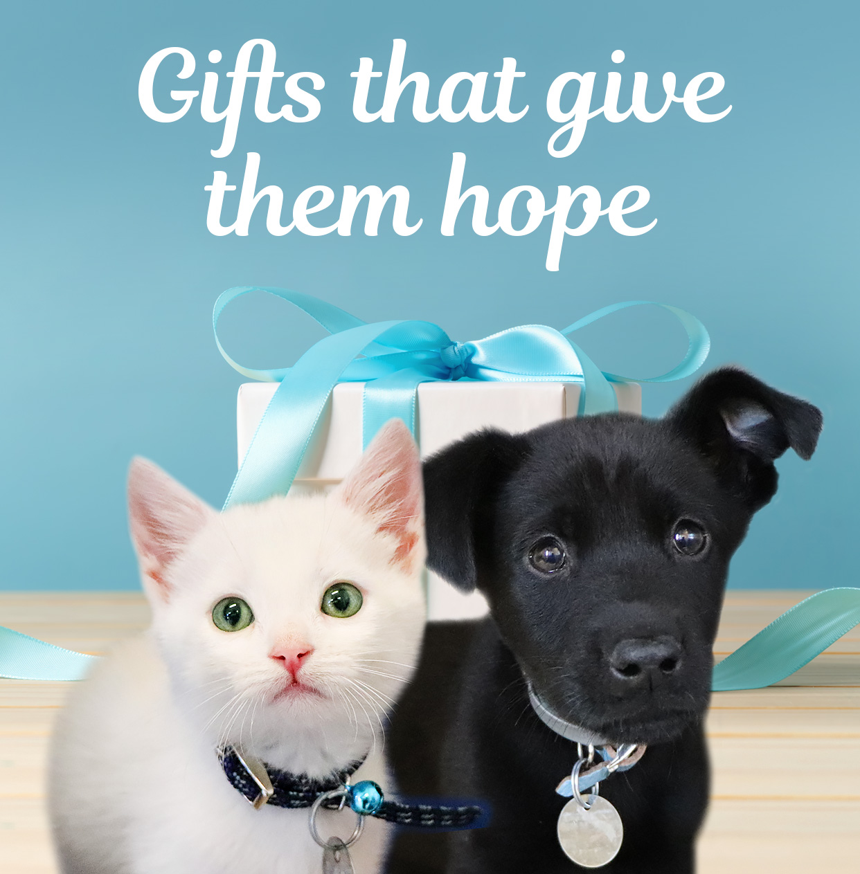 Presents Your Pet Will Love in 2021