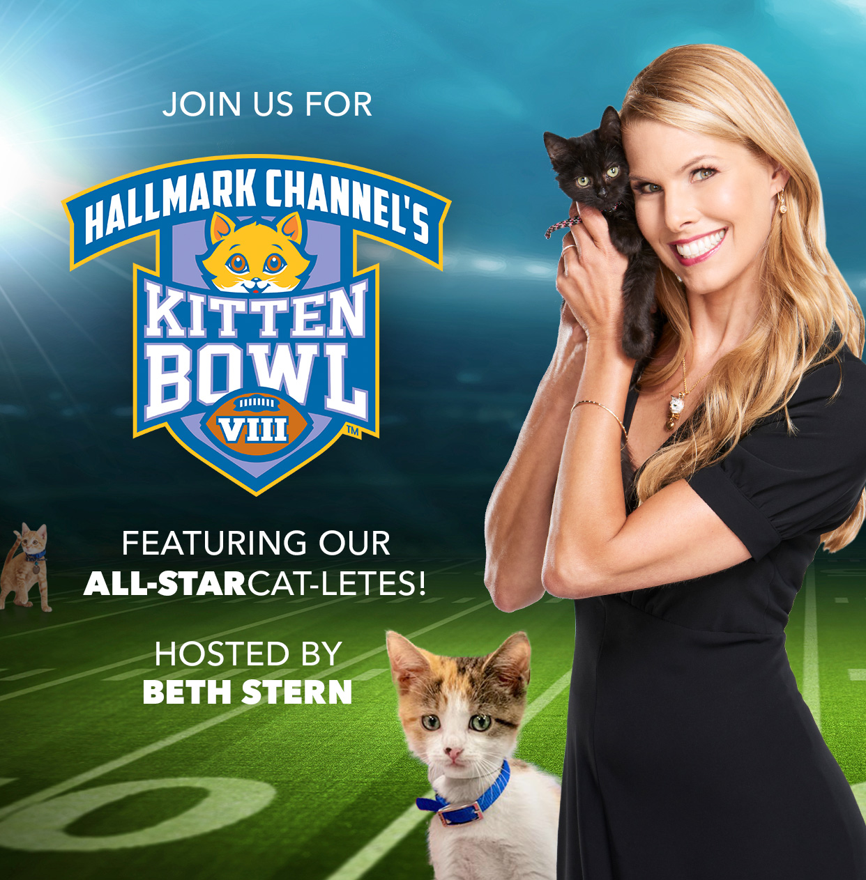 Hallmark Channel's Kitten Bowl VIII Events Animal League America