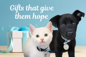 Gifts that give them hope.