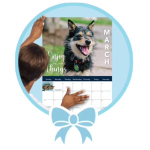 North Shore Animal League America 2021 Calendar.