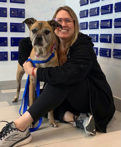 A Match Made in Heaven Adoption Stories Animal League