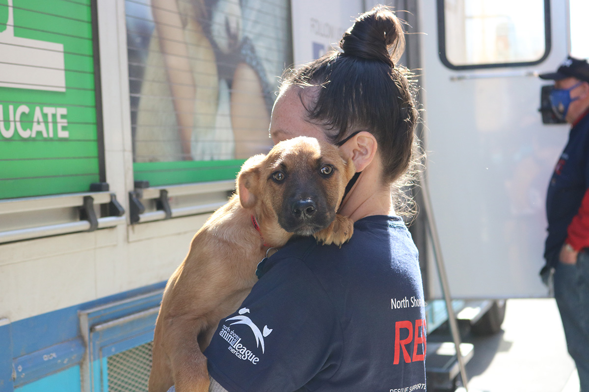 a woman holding a dog