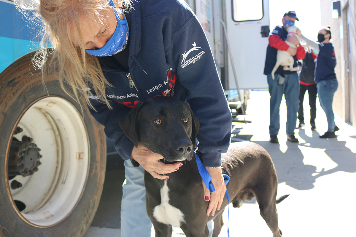 a woman with a mask on her face petting a dog
