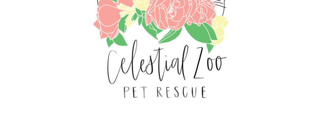 Celestial Zoo Pet Rescue