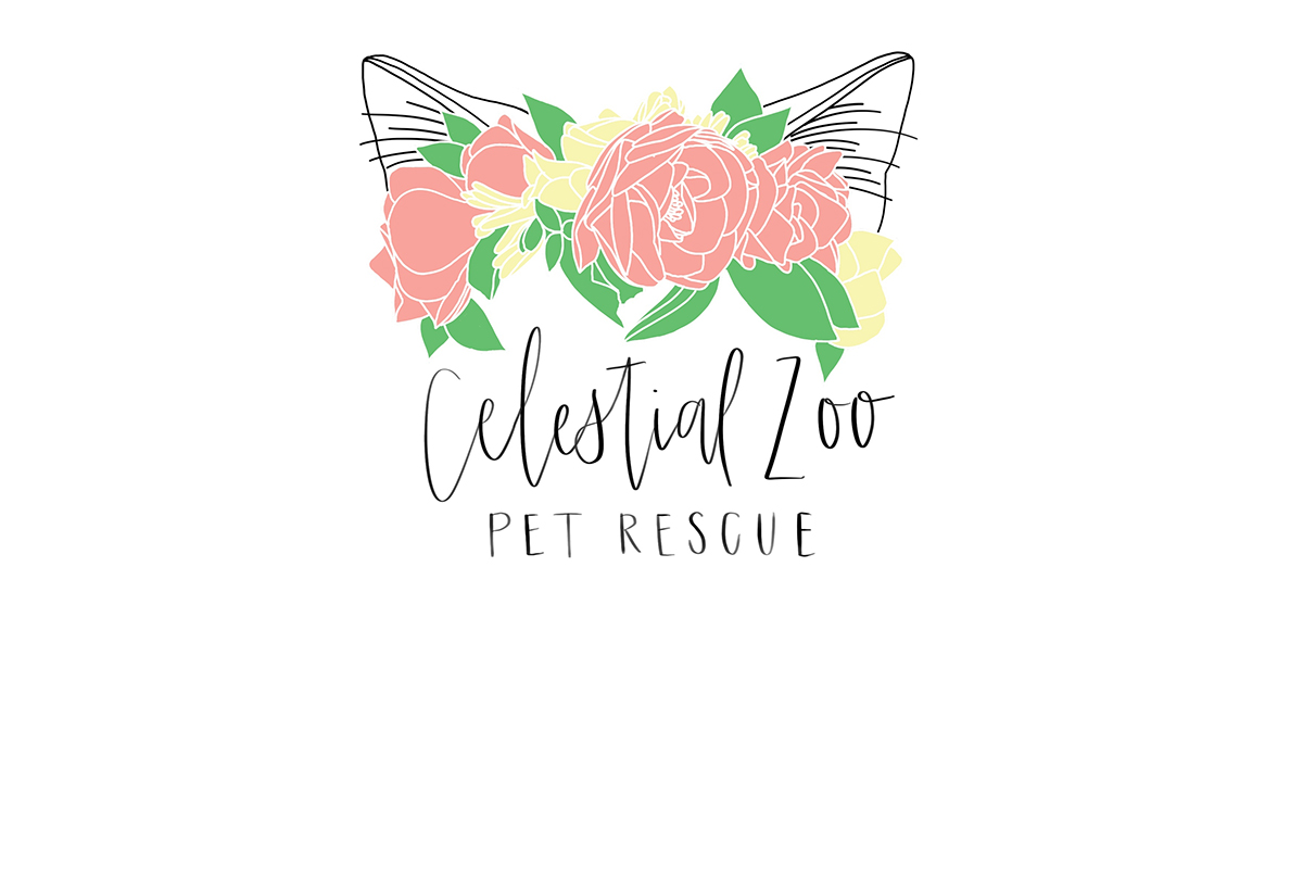 Celestial Zoo Pet Rescue