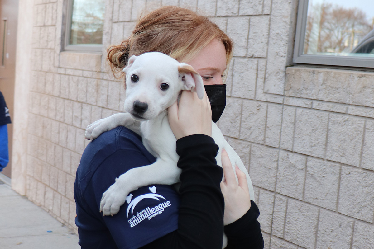 a woman wearing a mask holding a dog