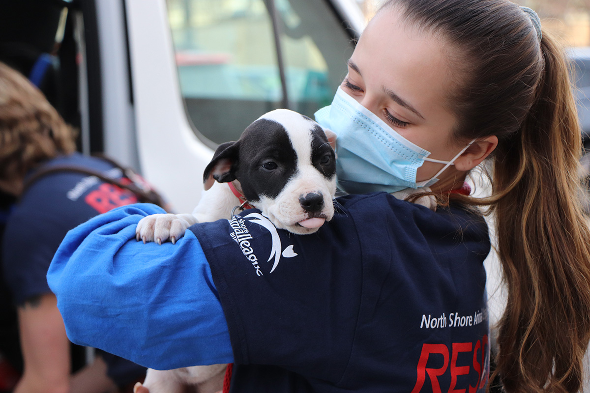 a woman wearing a mask holding a dog