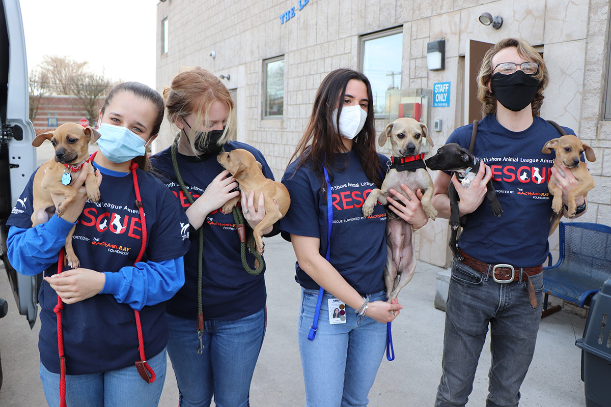a group of people wearing face masks holding dogs