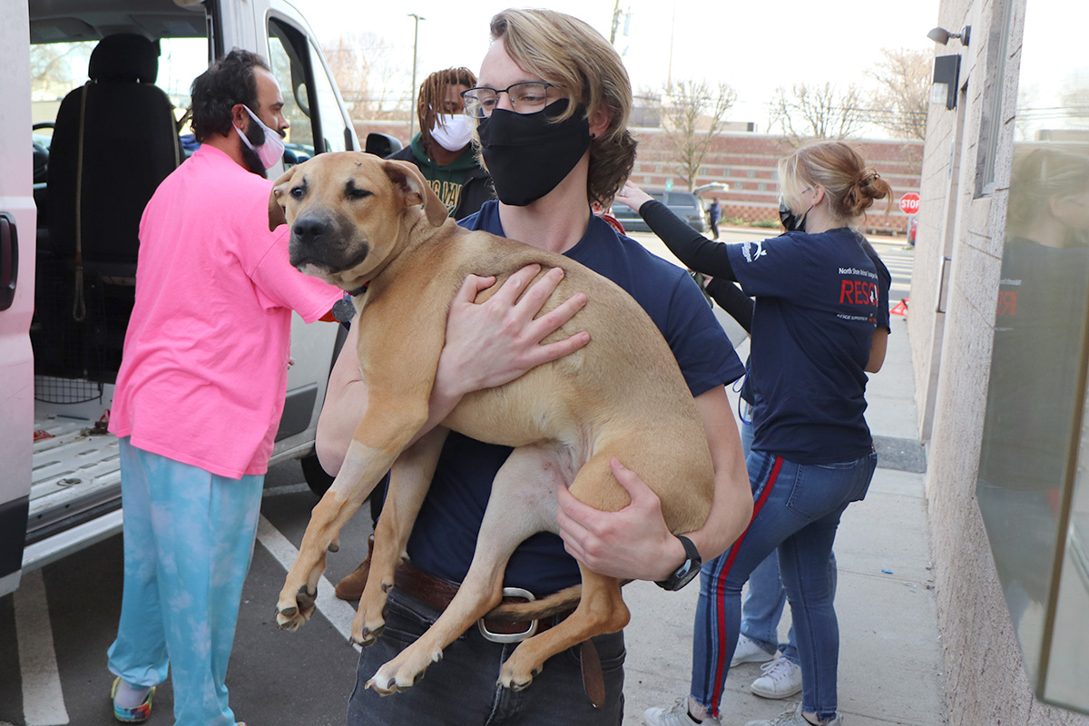 a man wearing a face mask holding a dog