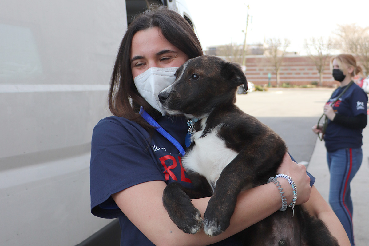 a woman wearing a mask holding a dog