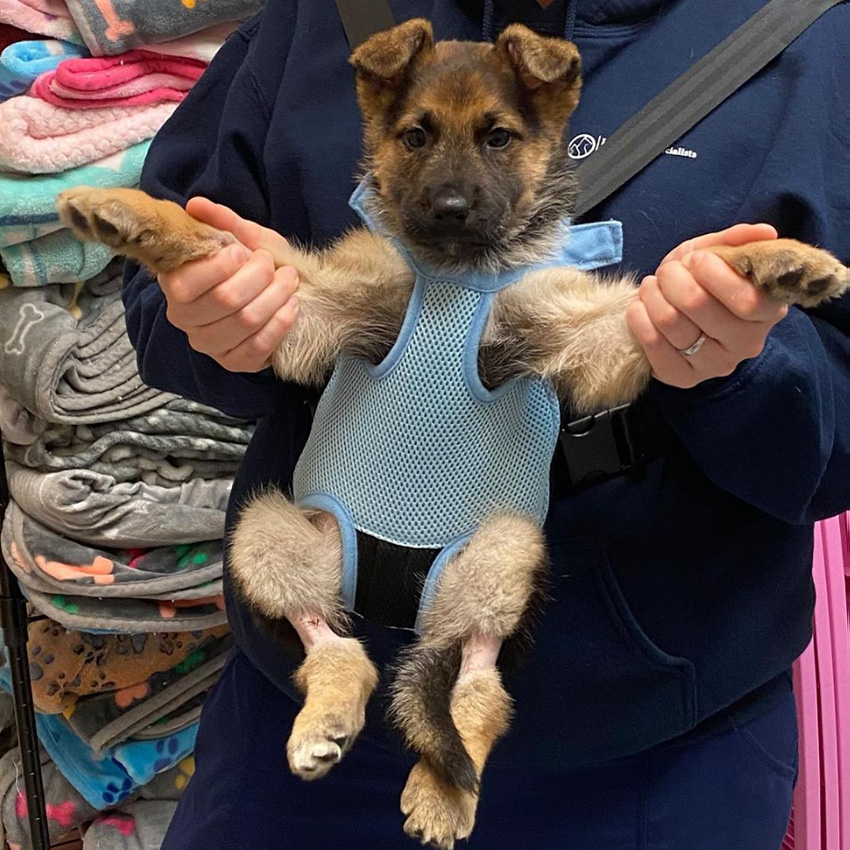 beth-blog-apr2021-11-ivan-kirby