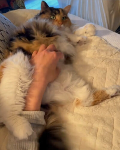 beth-blog-apr2021-18-moosh
