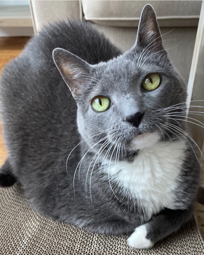 beth-blog-apr2021-27-kaylee