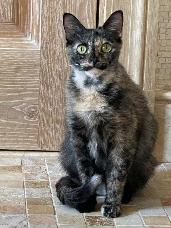 beth-blog-apr2021-6-mama-cherry