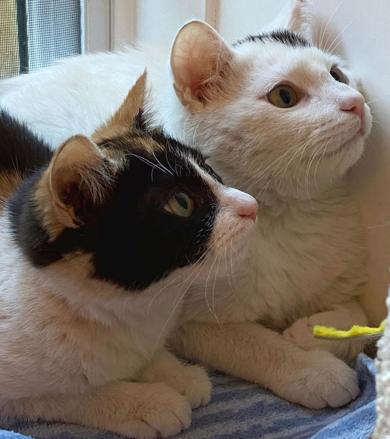 beth-blog-may2021-izzy-and-alex