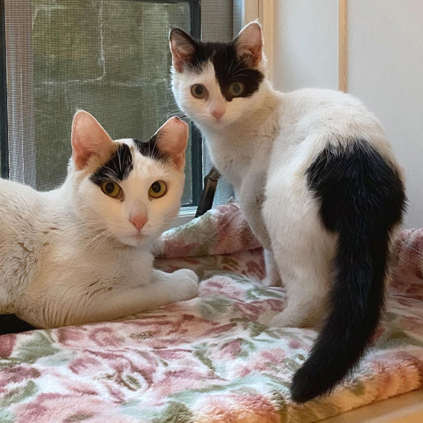 beth-blog-may2021-mama-soleil-and-skylar