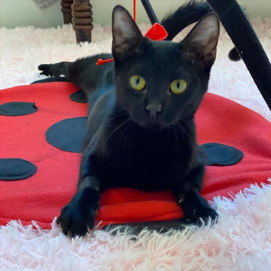 beth-blog-may2021-maxine