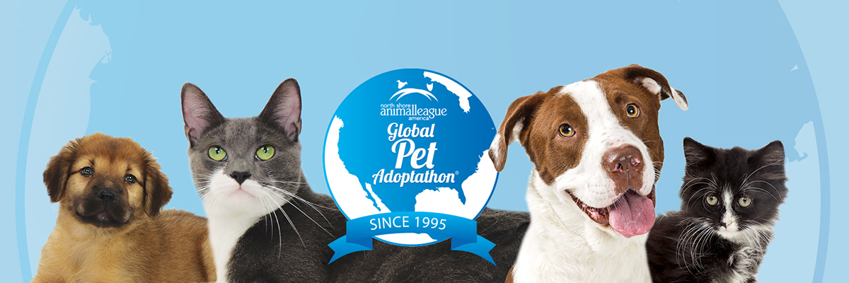 Global Pet Adoptathon