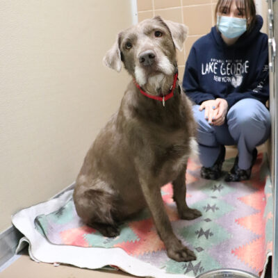 feature-hmh-ash-pre-surgery-img8995