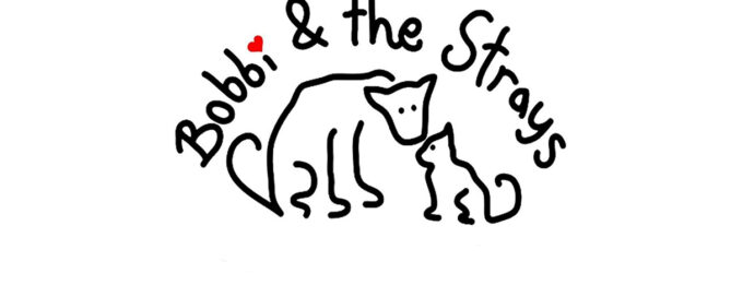 Bobbi & the Strays
