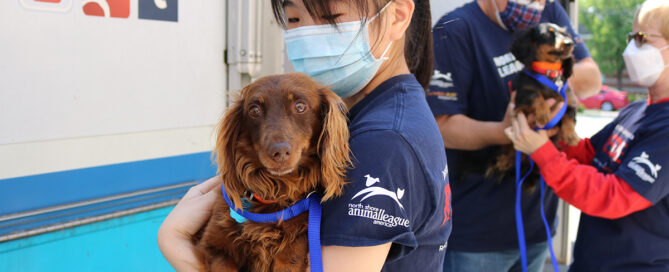 a woman wearing a mask holding a dog