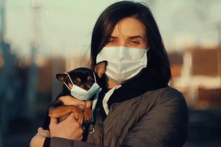 corporate-dogtv-new-normal-snapshot