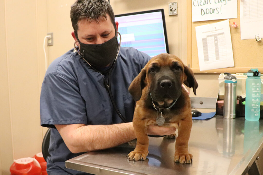 hmh-buster-heart-murmur-050621-img0926