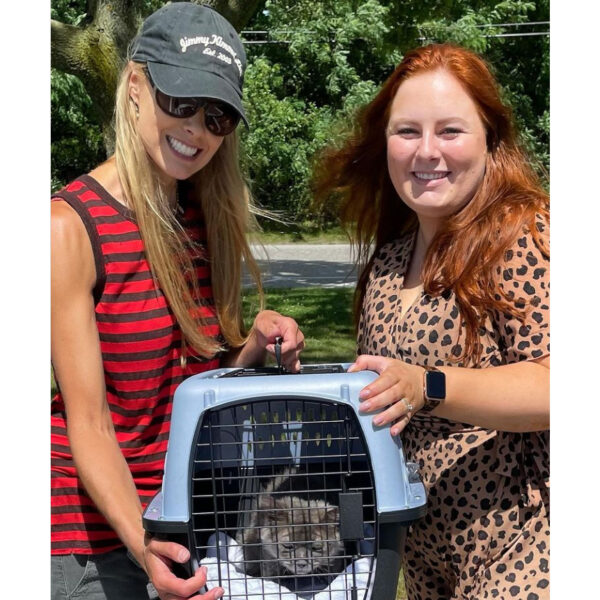 beths-blog-july2021-alfalfa-adoption