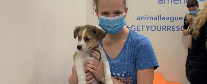 a girl wearing a mask holding a dog
