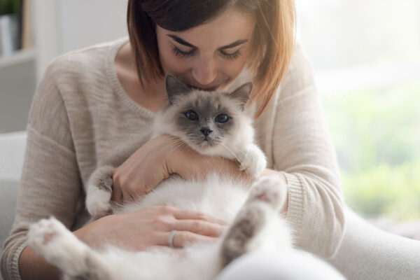 post-covid-tips-fat-cat-snuggle-071421