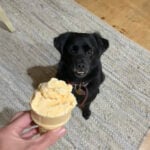 sponsor-pet-priscilla-ice-cream-122920