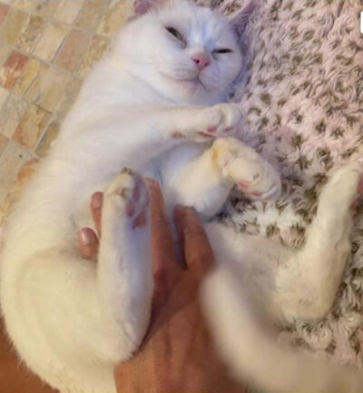 beth-blog-aug2021-sparrow-belly-rub