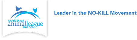 Animal League Logo