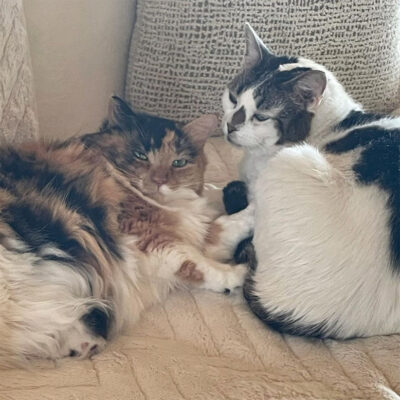 beth-blog-sept2021-mush-walter