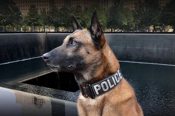 nsala_barkabout_feature_911_2_1200x800