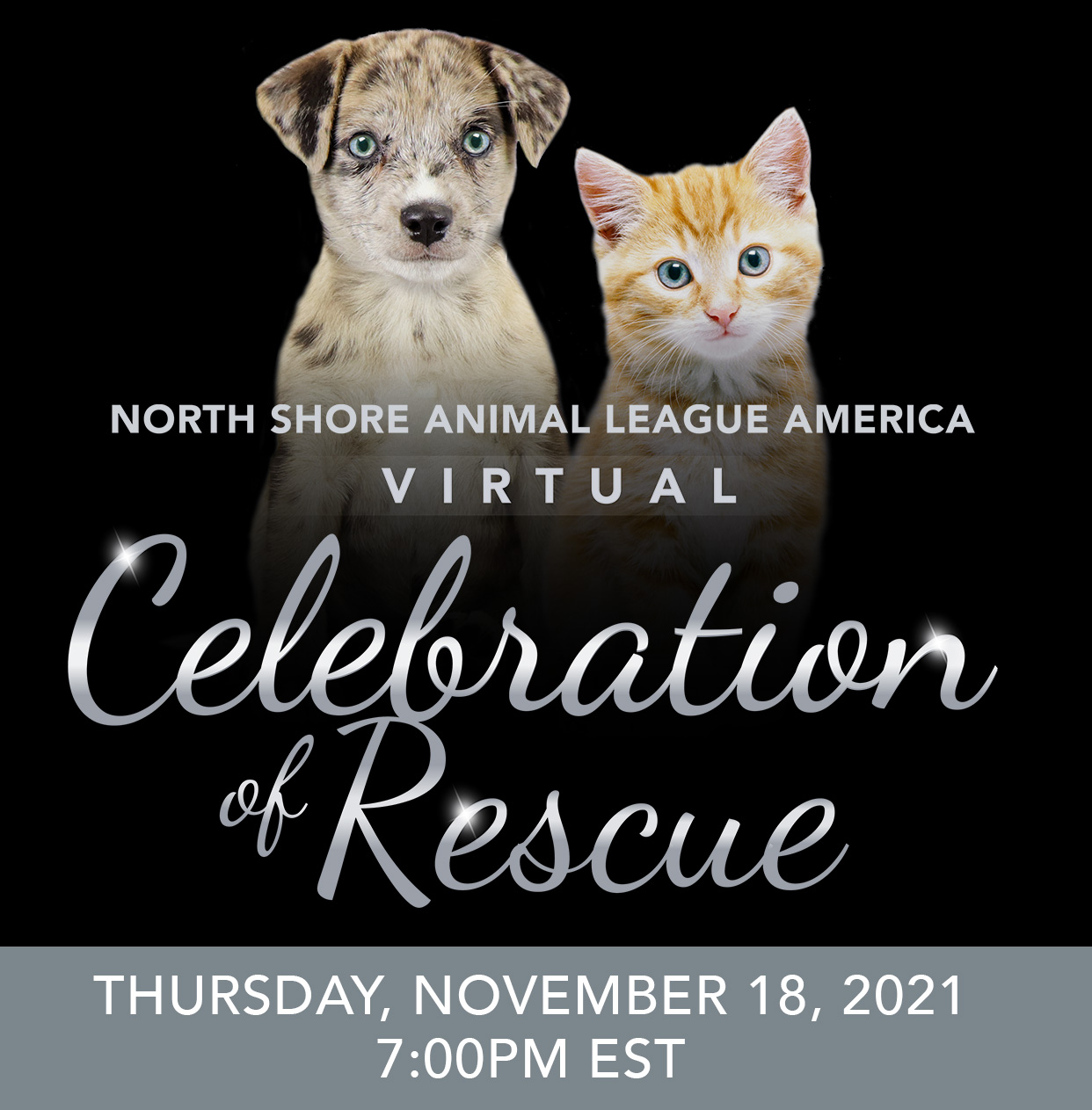 Supporters Nationwide Join Our Virtual Celebration of Rescue Animal League