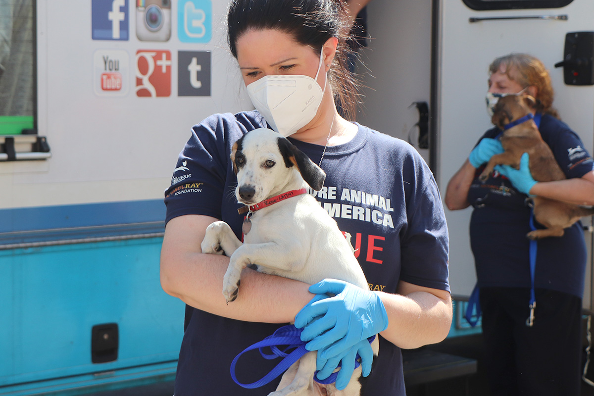 a woman wearing a mask and gloves holding a dog