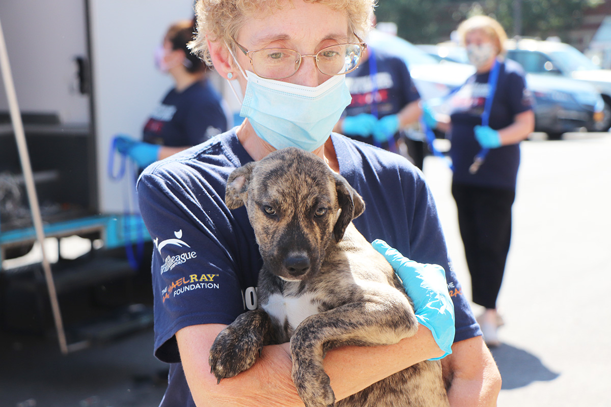a woman wearing a mask and holding a dog