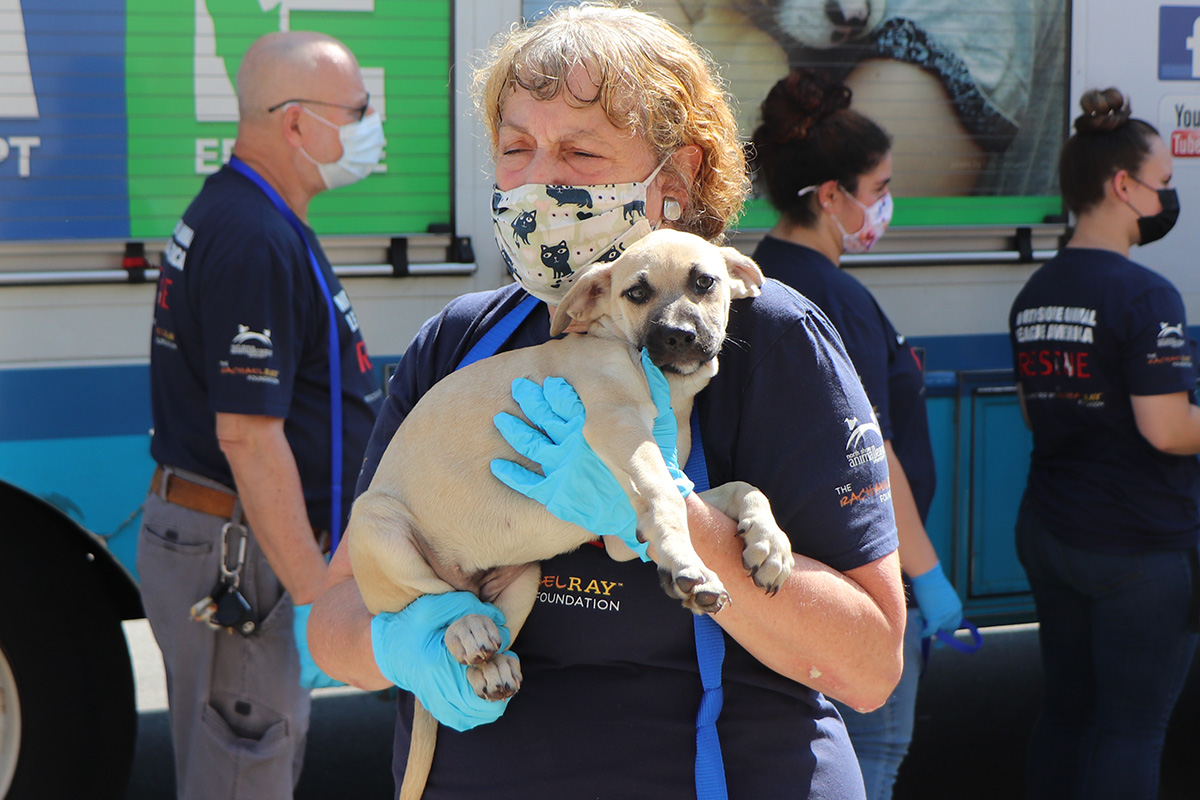 a woman wearing a mask and gloves holding a dog