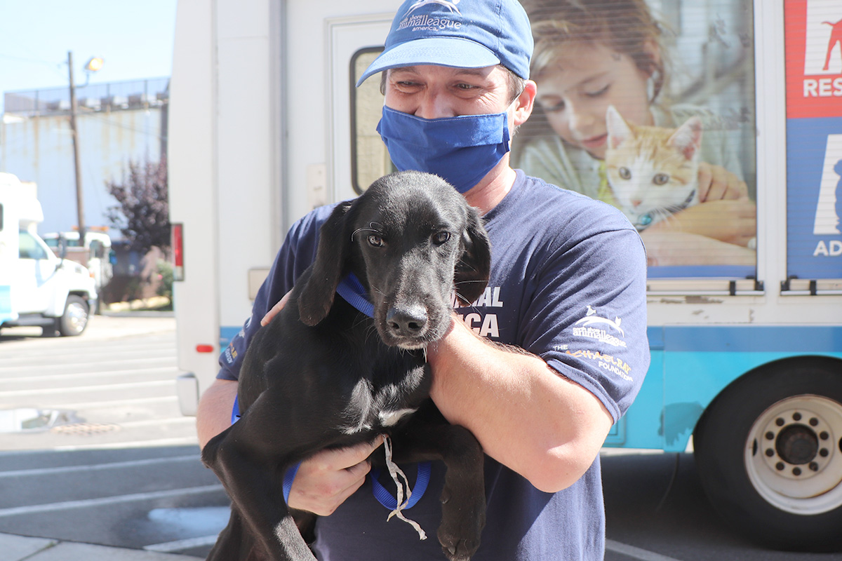 a man wearing a mask holding a dog