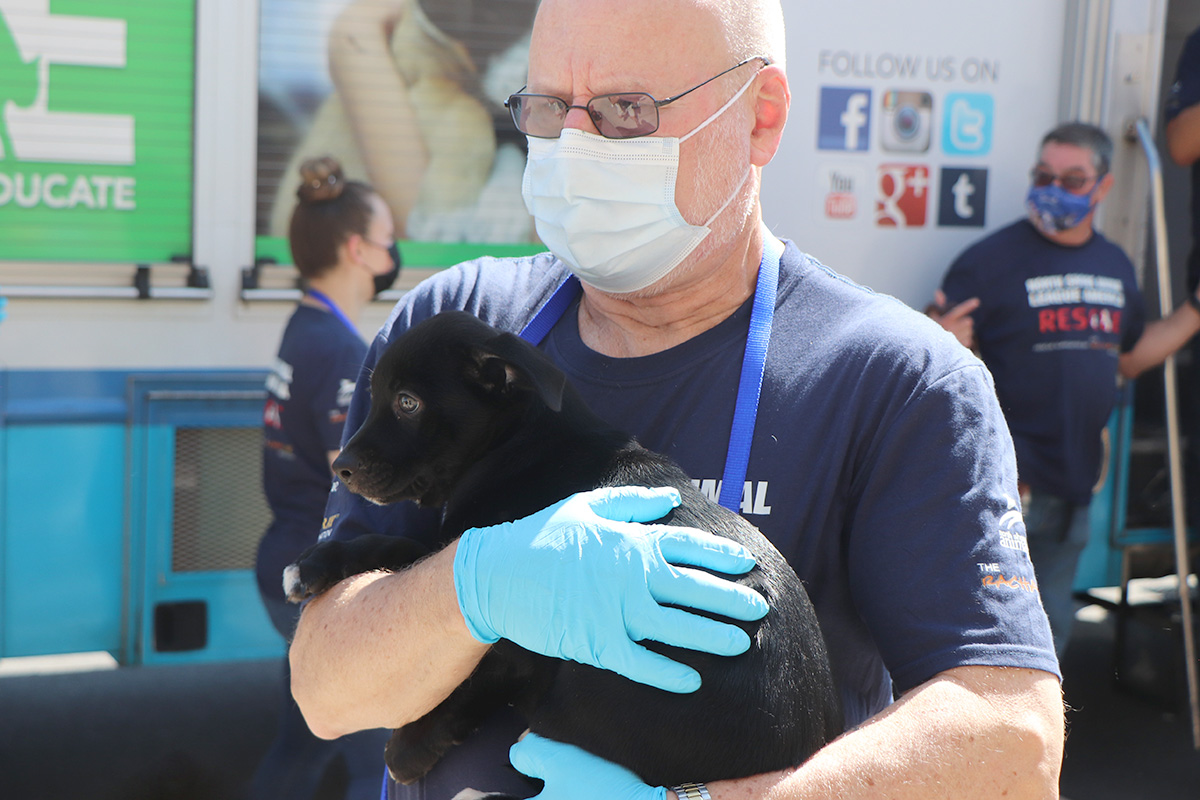 a man wearing a mask and gloves holding a black puppy