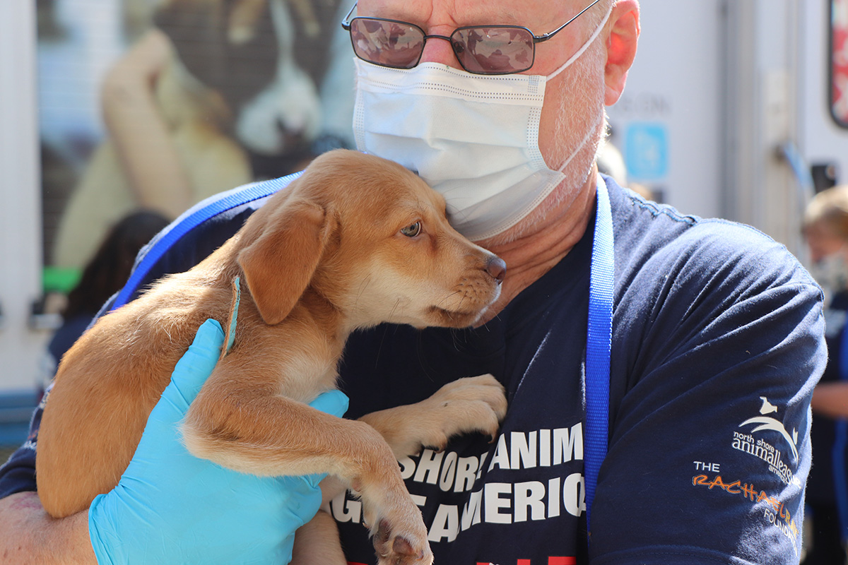 a man wearing a mask and holding a puppy