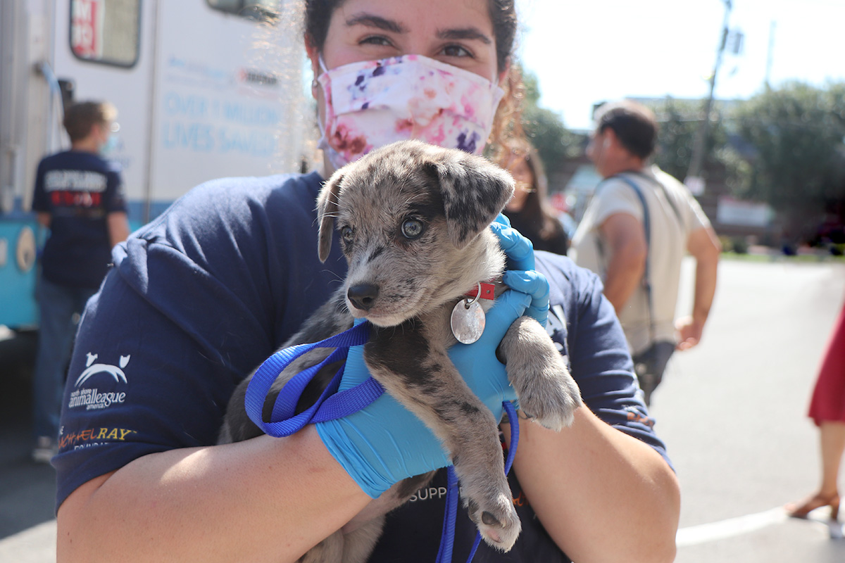 a woman wearing a mask and gloves holding a puppy