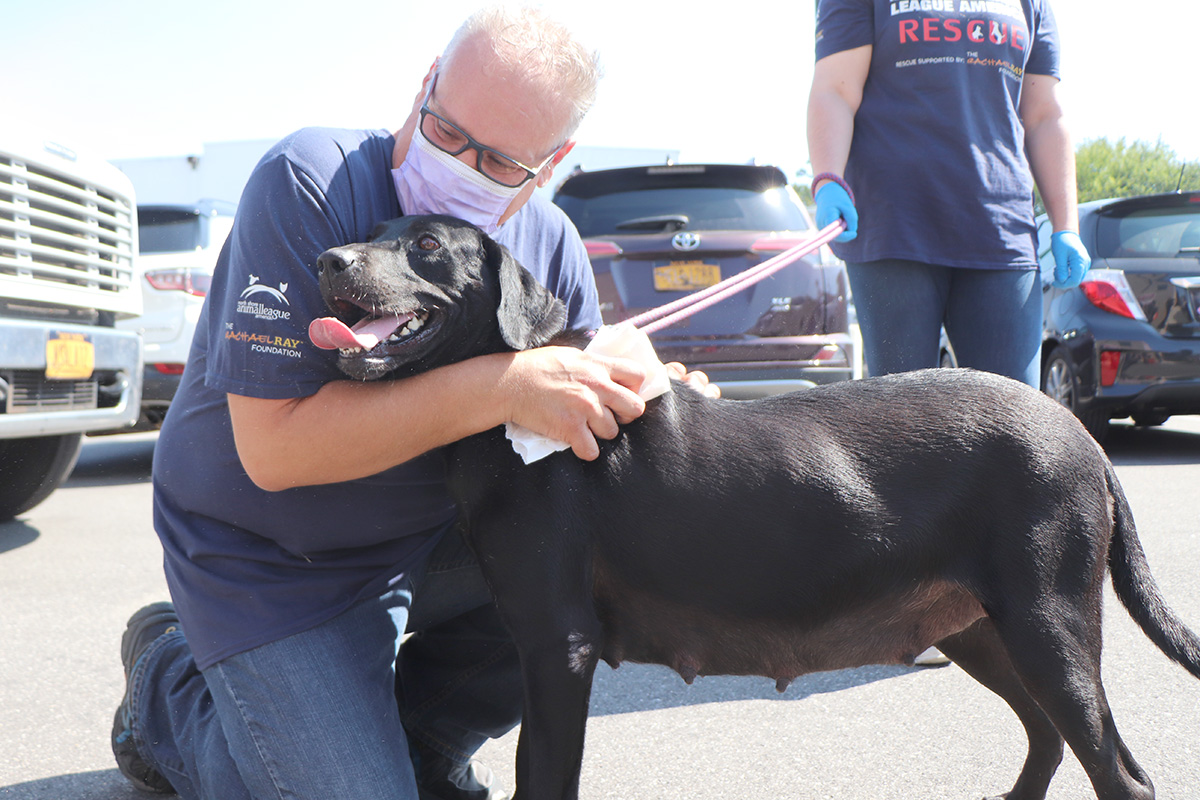 a man wearing a mask and holding a dog