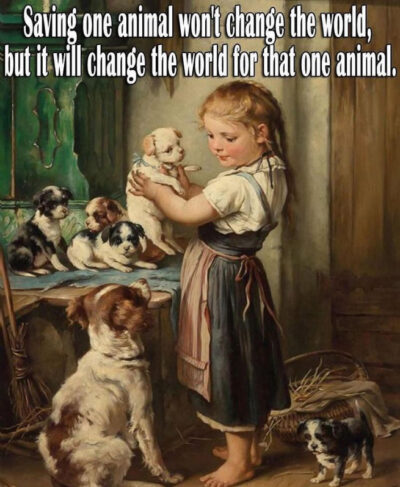 beth-blog-nov2021-save-one-graphic