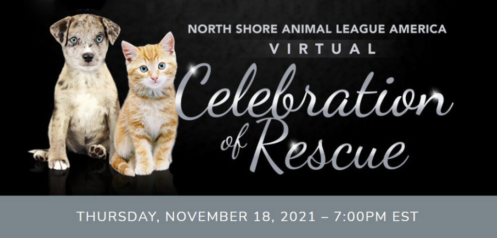 Virtual Celebration of Rescue