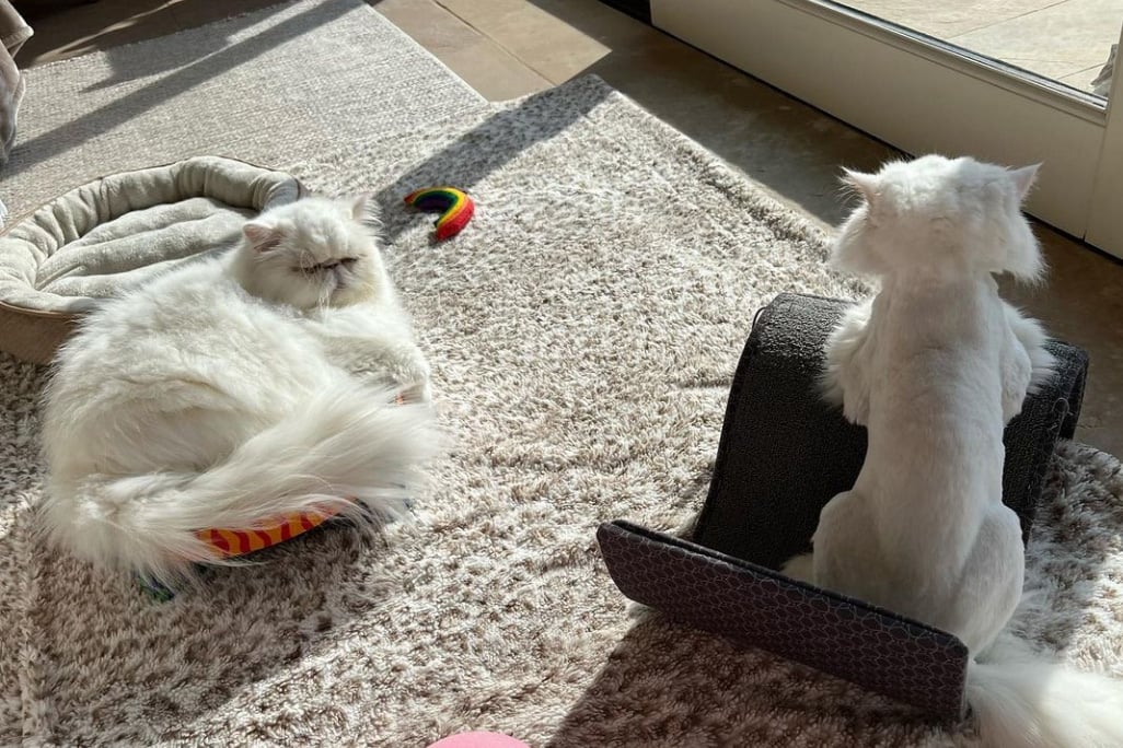 beth-blog-nov2021-yoda-and-grogu