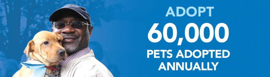 donor-impact-2020-adopt